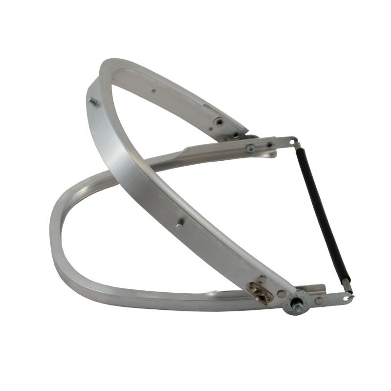 Universal visor carrier